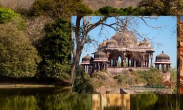 जयपुर से रणथंभौर एक दिवसीय टूर